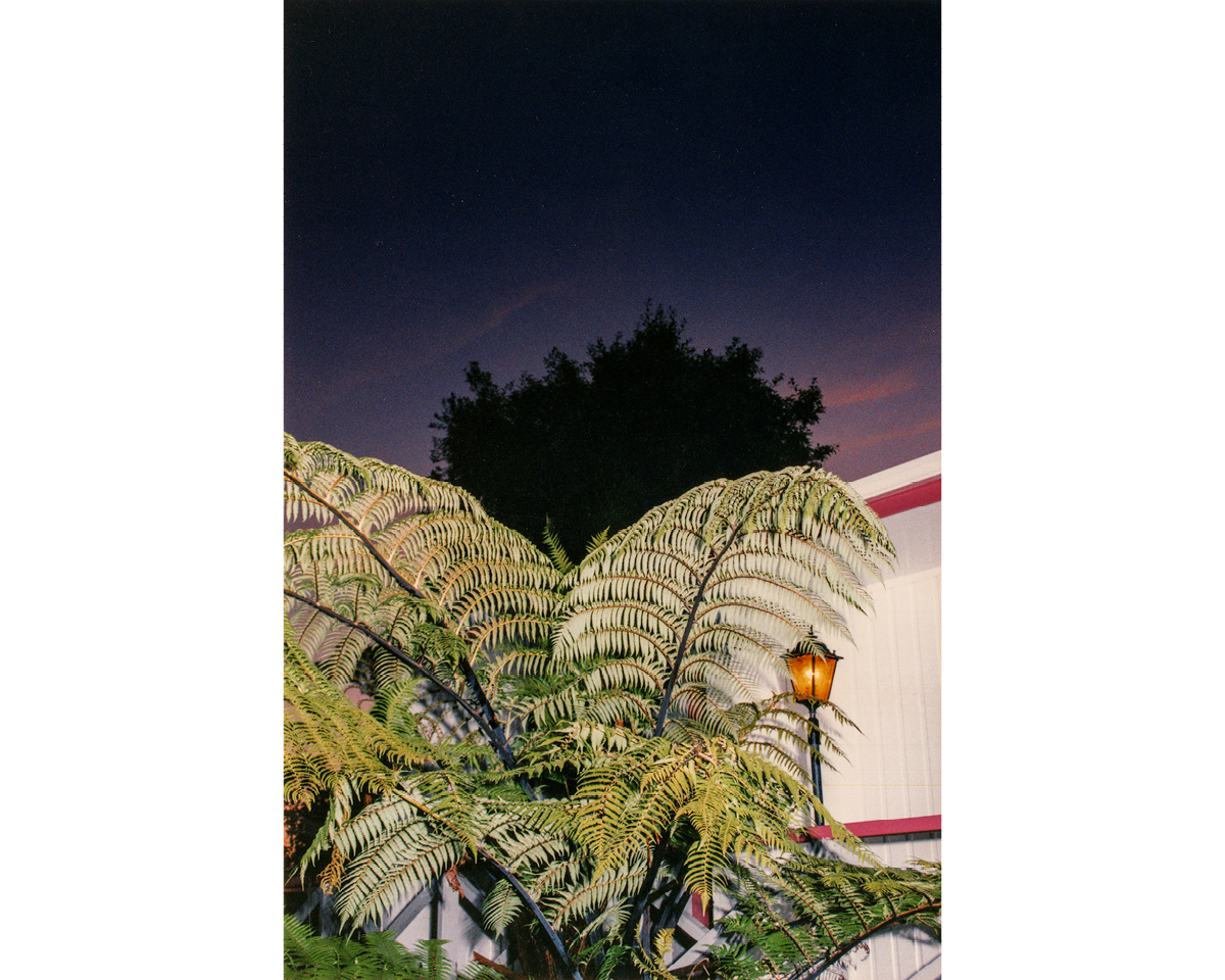 Exterior of Motel